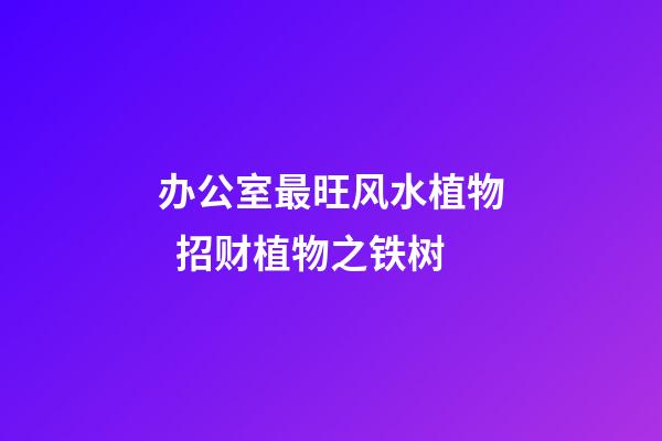 办公室最旺风水植物  招财植物之铁树